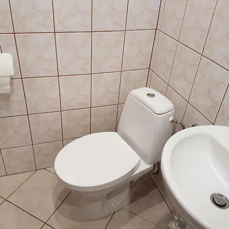 Проживание в семье Rys