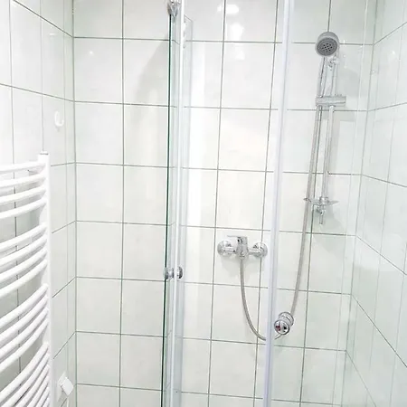 Rys Проживание в семье