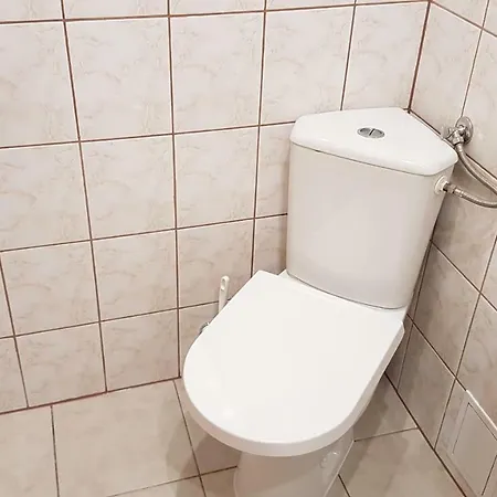 Rys * Krynica Zdroj