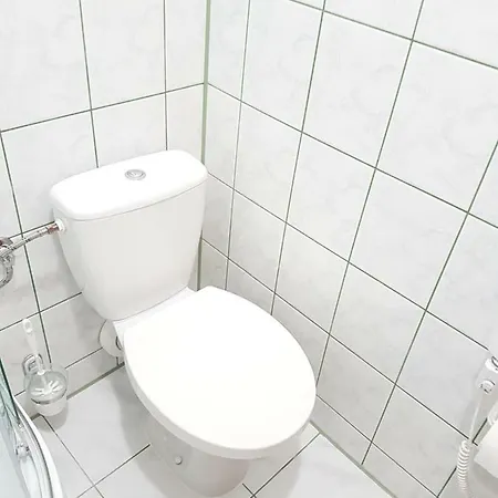 Проживание в семье Rys *